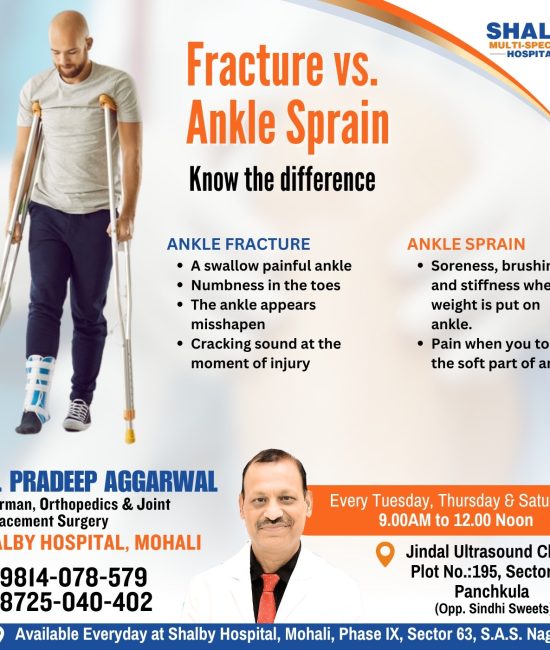 460626981_955708763238152_7756957830357015370_n