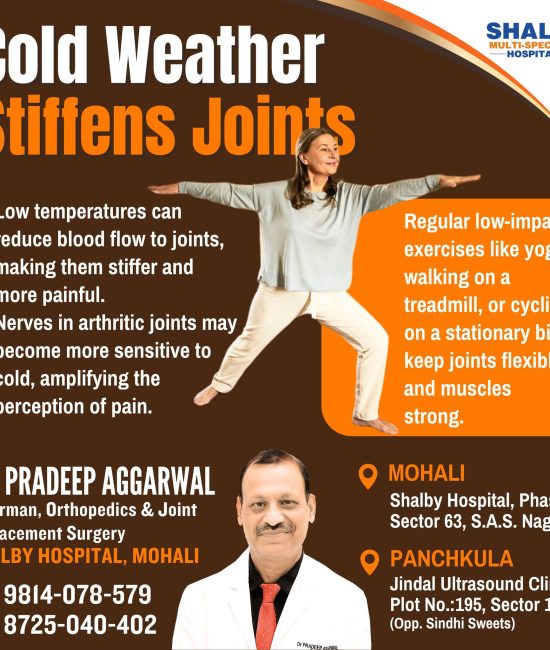 467603391_1001569751985386_3879392479361734642_n